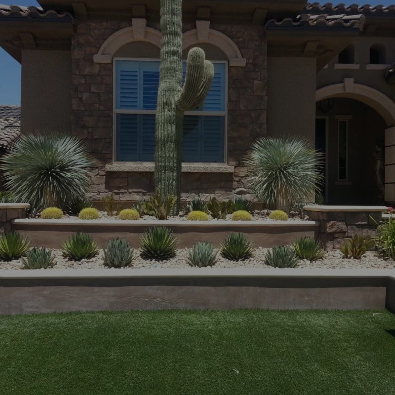 Landscape irrigation challenges in the modern high desert environment